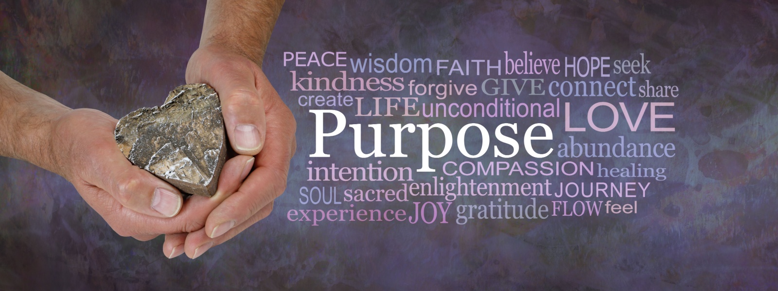 Our Purpose 1 Our Purpose